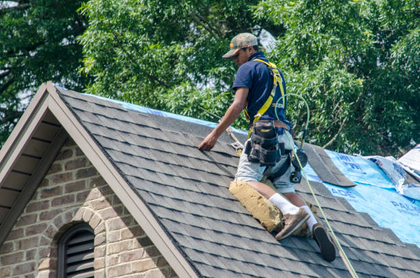 Best Roof Gutter Cleaning  in Spring Hill, TN